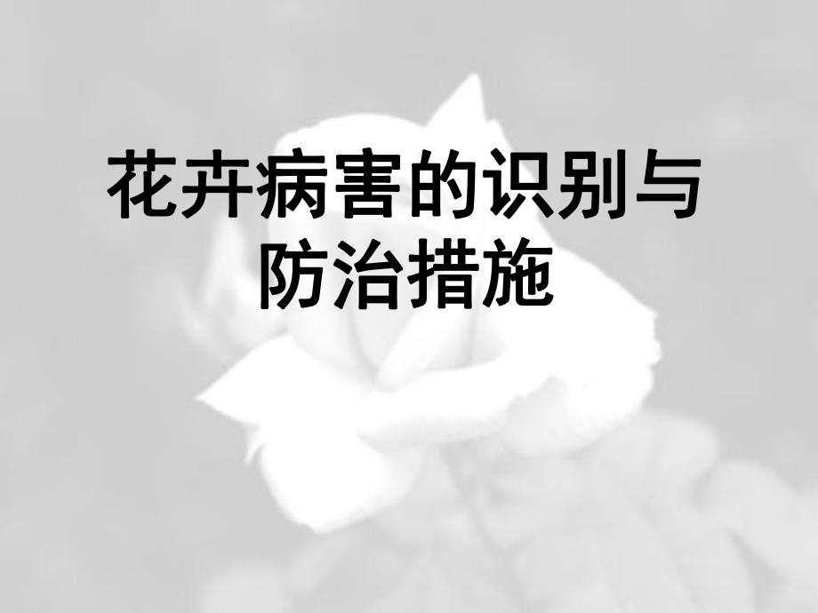 花卉病害防治.ppt_第1页