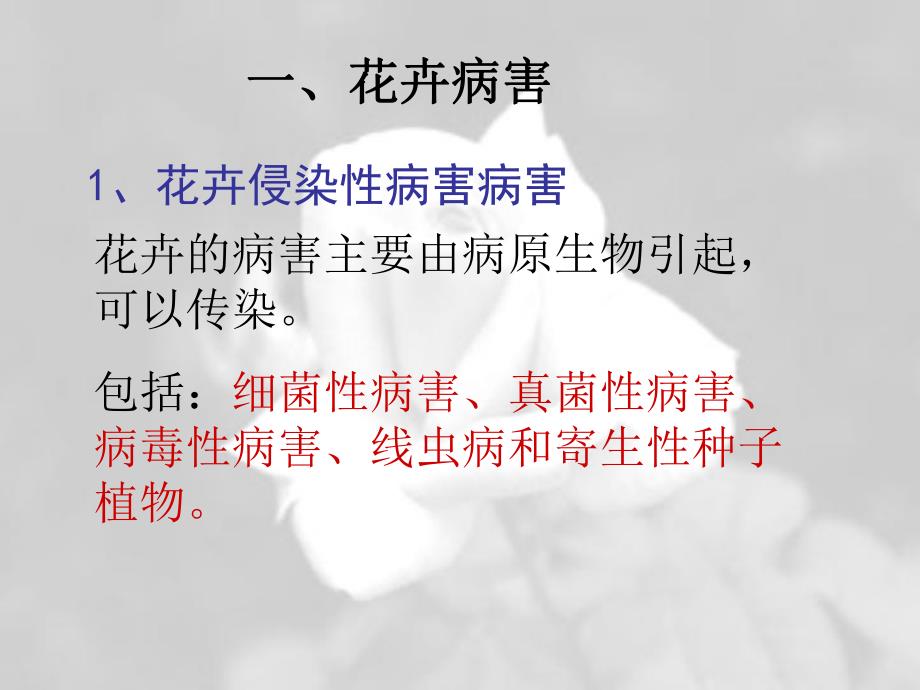 花卉病害防治.ppt_第2页