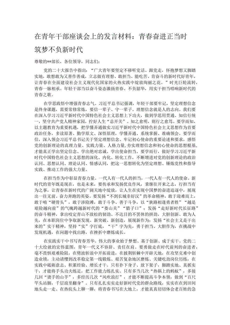 在青年干部座谈会上的发言材料：青春奋进正当时 筑梦不负新时代.docx_第1页