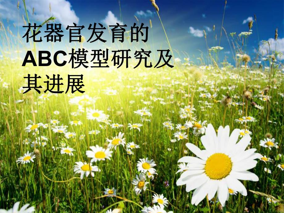 花器官的ABC模型.ppt_第1页