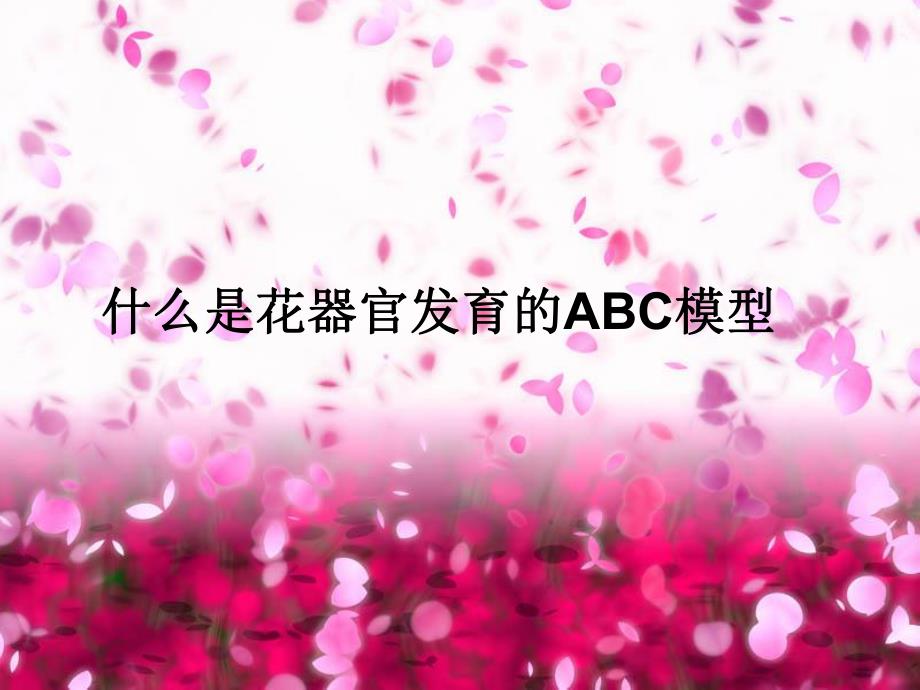 花器官的ABC模型.ppt_第3页