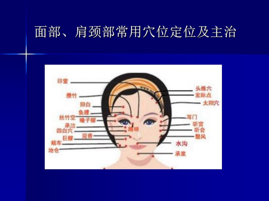 美容师培训系列6.ppt_第2页