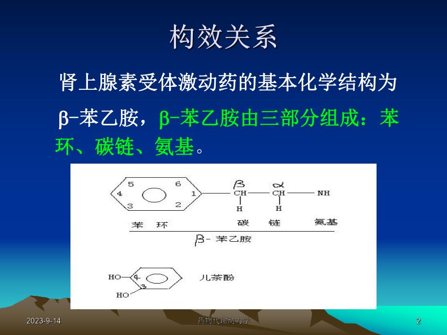 西医药理学第5章肾上腺素受体激动药.ppt_第2页