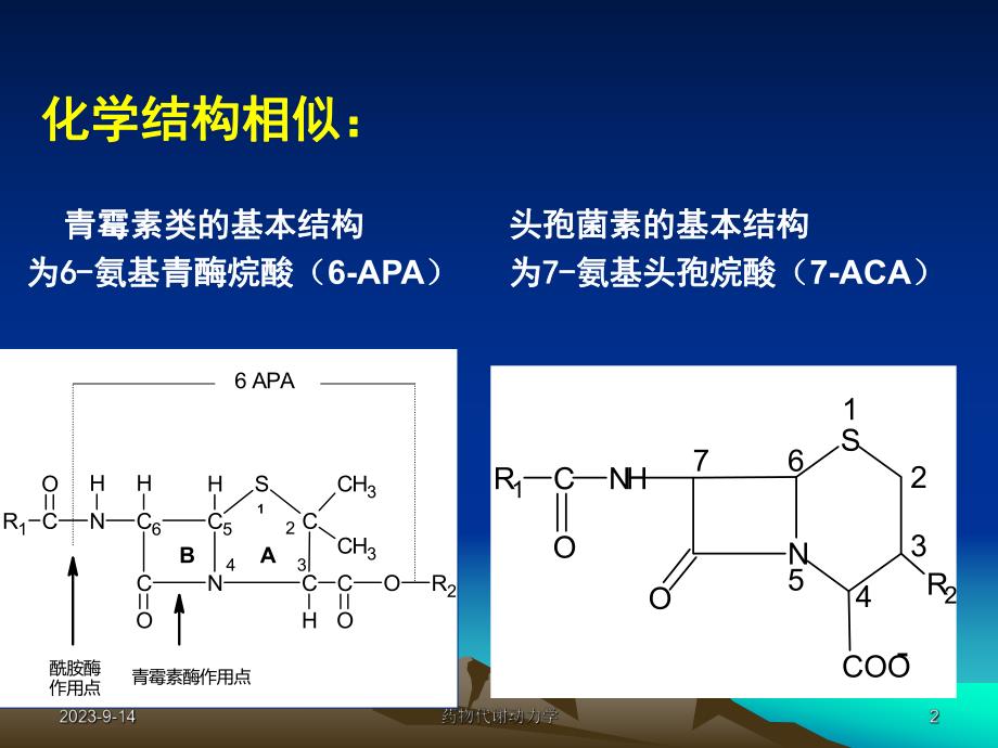 西医药理学第二十八章内酰胺类抗生素.ppt_第2页