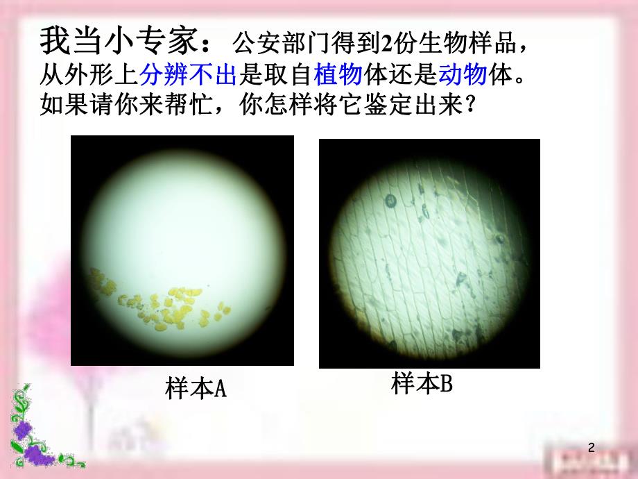 观察动物细胞753.ppt_第2页