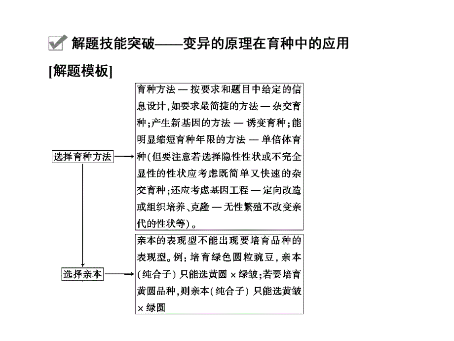 解题技能突破变异的原理在育种中的应用.ppt_第2页