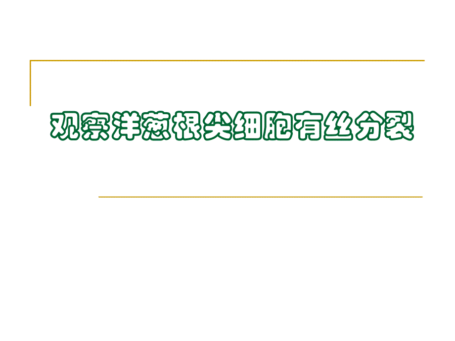 观察洋葱根尖细胞的有丝分裂.ppt_第1页