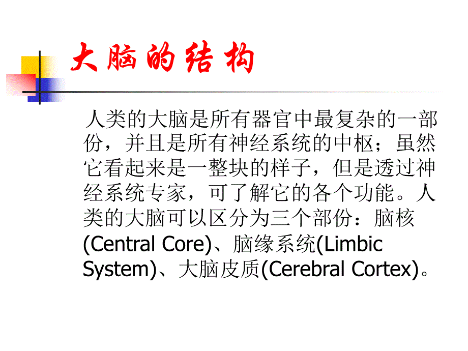 记忆是如何形成的.ppt_第3页