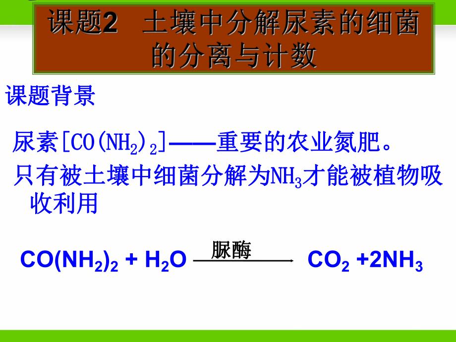 课题2土壤中分解尿素的细菌的分离与计数.ppt_第1页