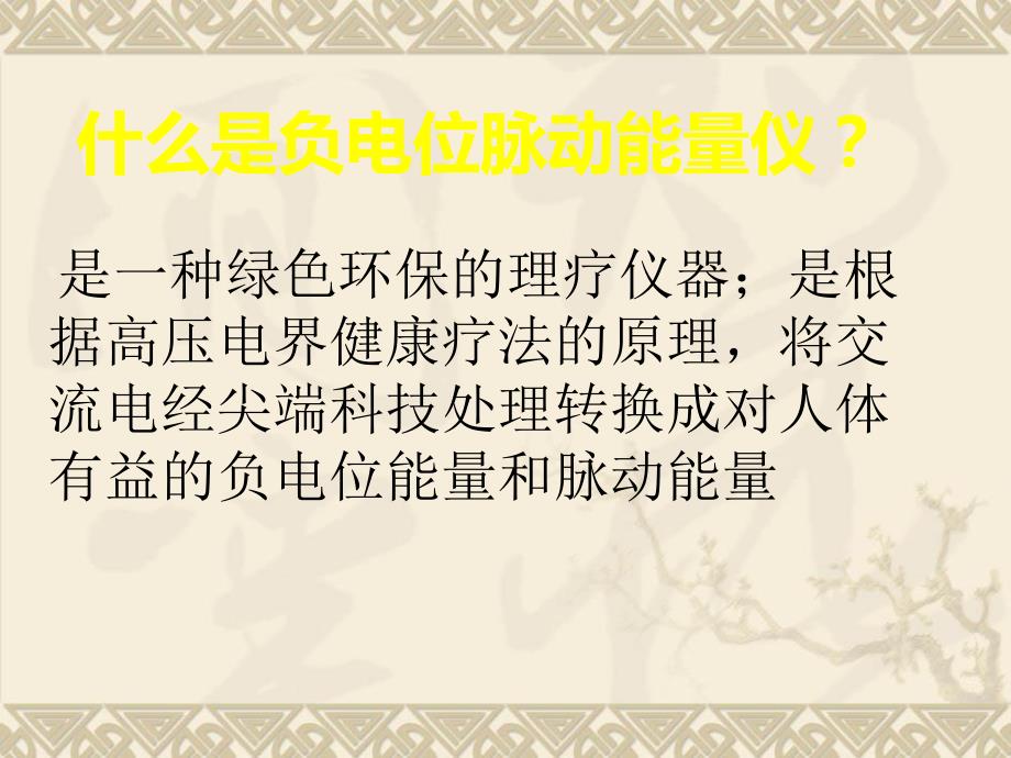 负电位脉动能量仪ppt课件.ppt_第2页