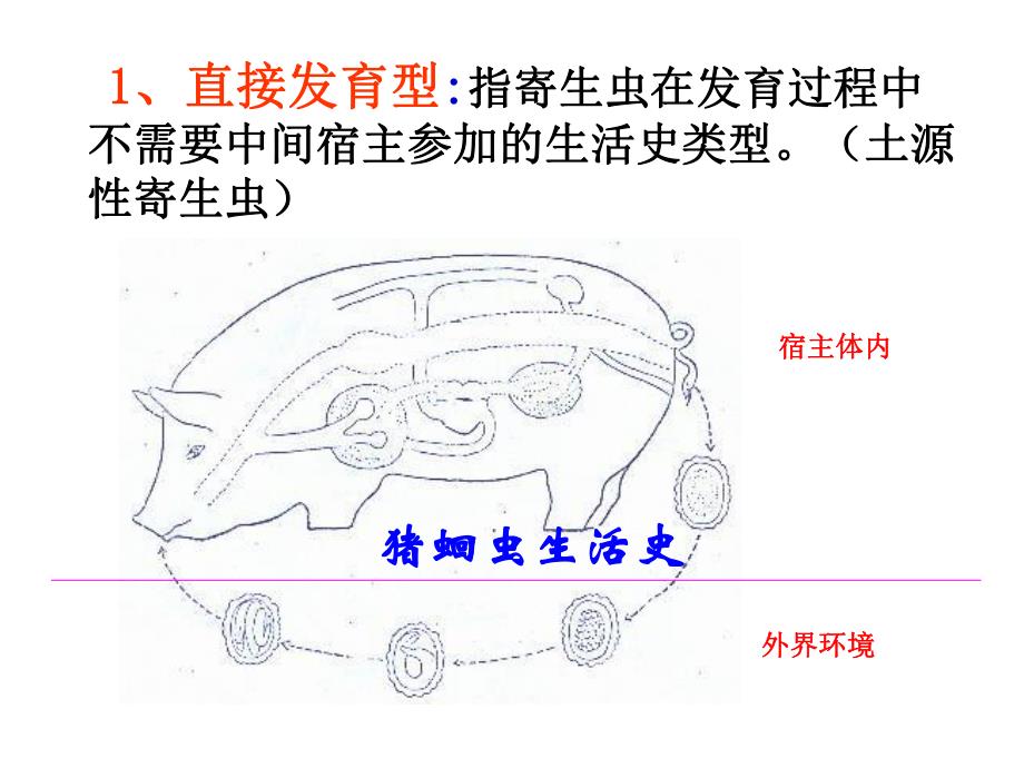 课件总论.ppt_第2页