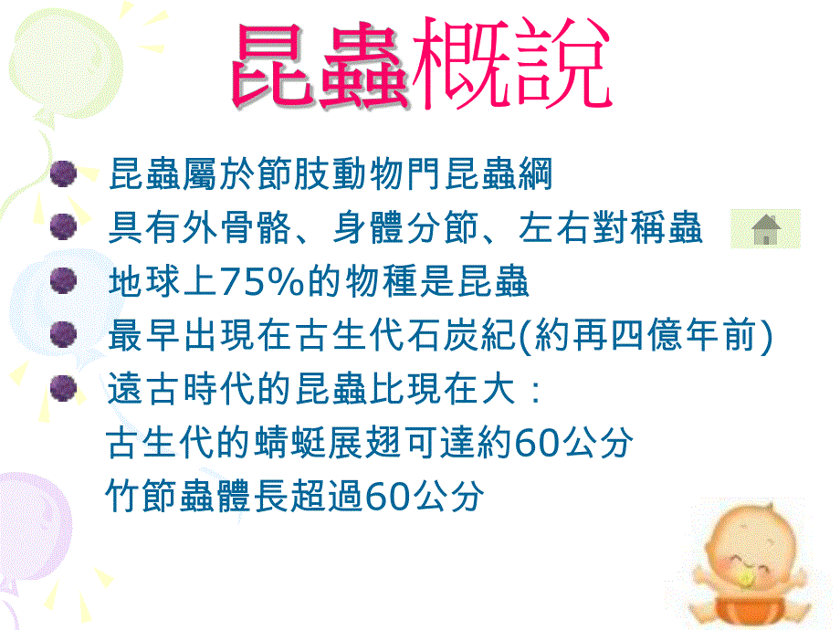 认识昆虫与标本制作.ppt_第2页