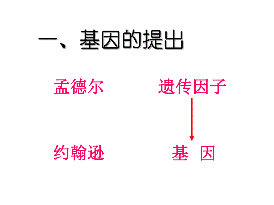 认识基因.ppt_第3页