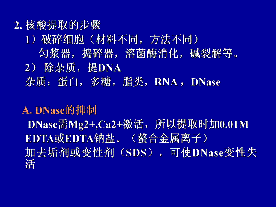 菜花DNA的提取.ppt_第3页