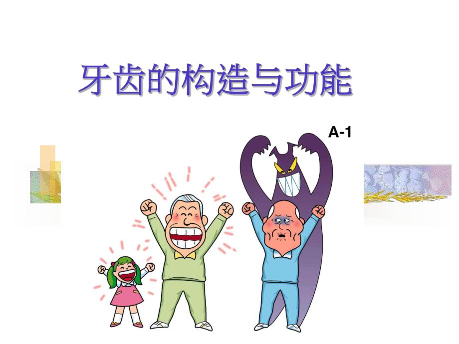 课件牙齿的构造与功能.ppt_第1页