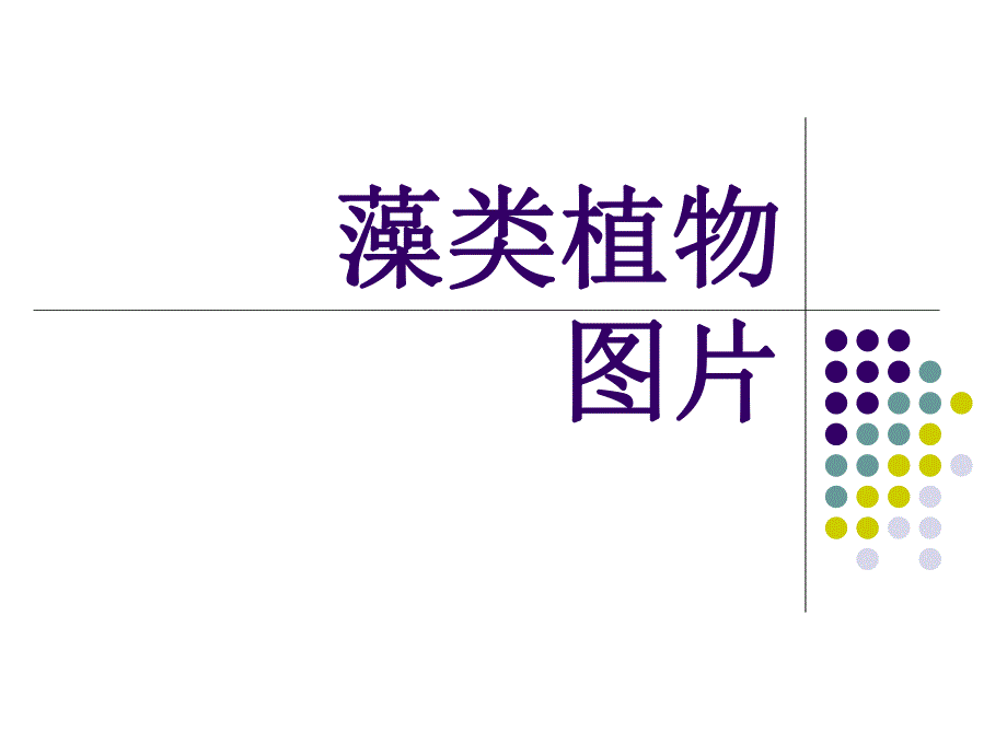 藻类植物图片.ppt_第1页