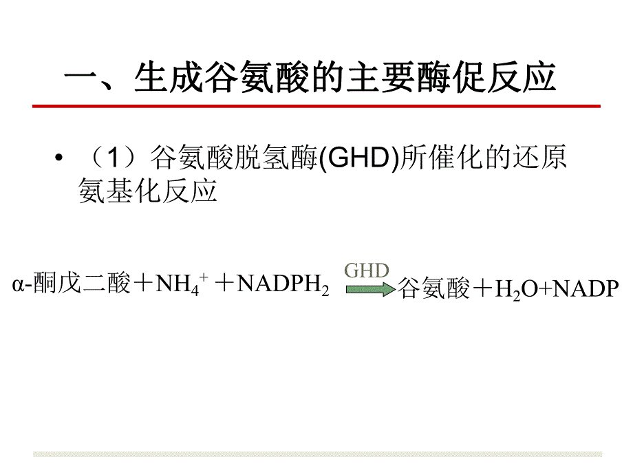 谷氨酸发酵机制.ppt_第2页