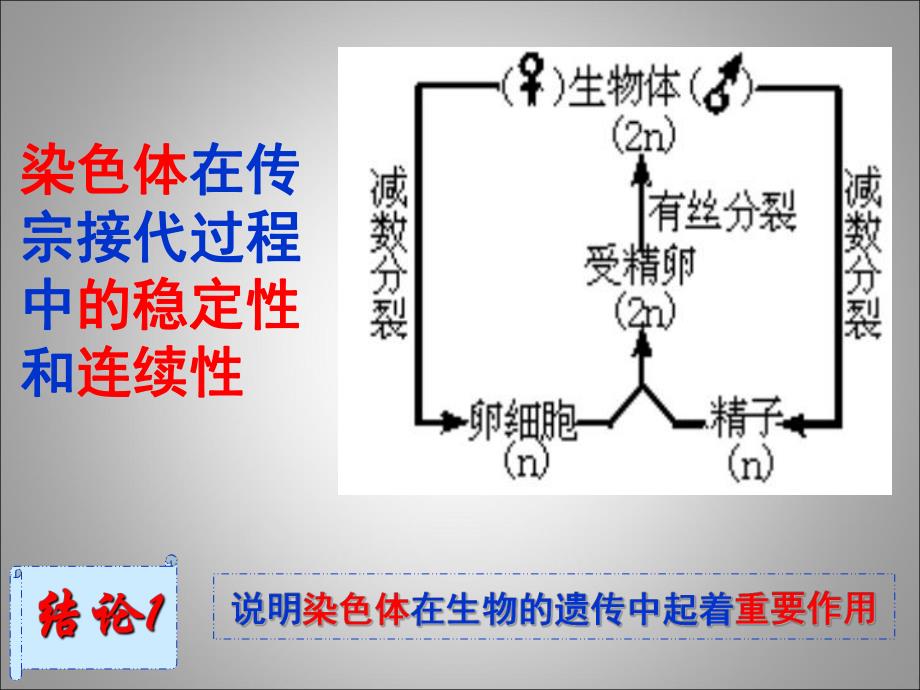 讲课DNA是主要的遗传物质.ppt_第2页