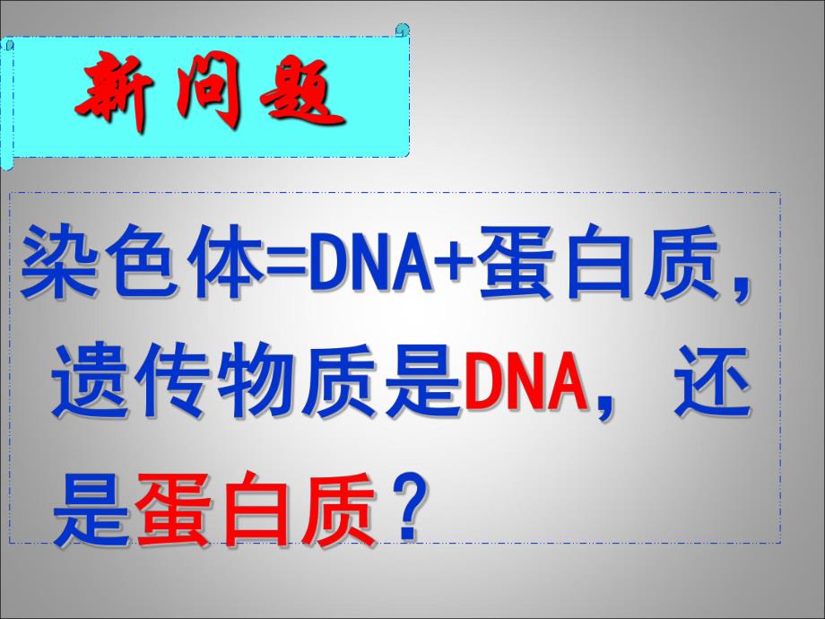 讲课DNA是主要的遗传物质.ppt_第3页