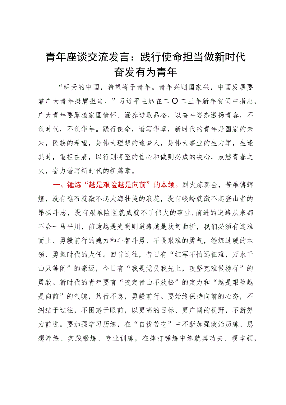 青年座谈交流发言：践行使命担当做新时代奋发有为青年.docx_第1页