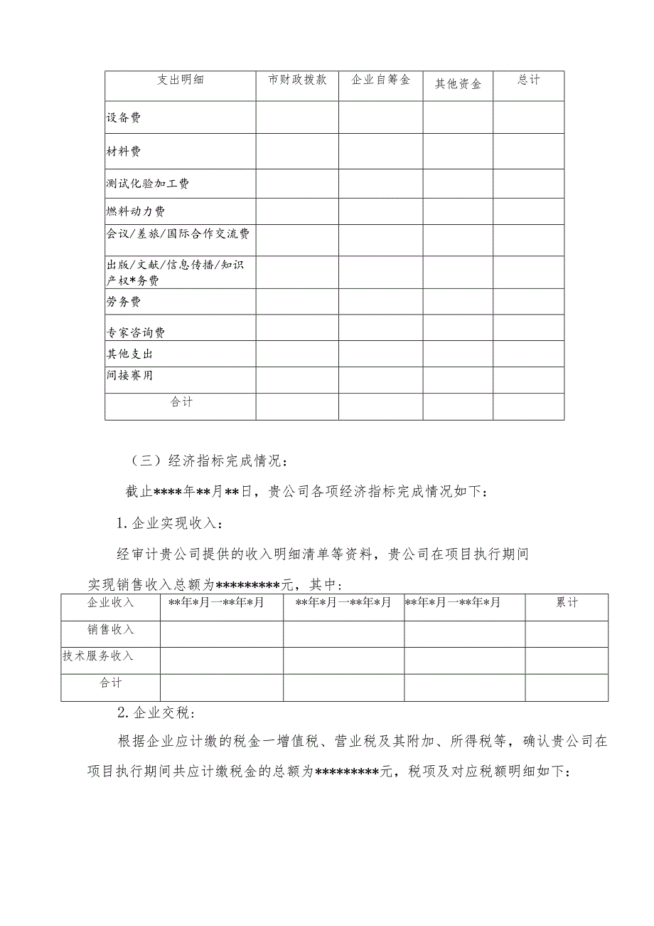 专项审计报告参考样式.docx_第3页