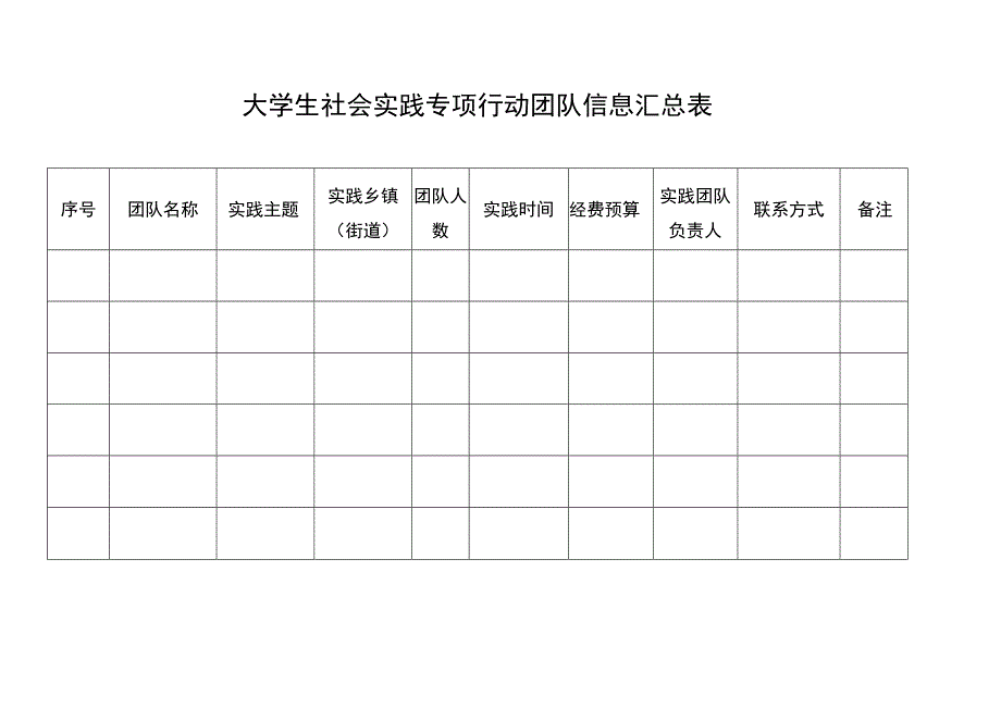 大学生社会实践专项行动团队信息汇总表.docx_第1页