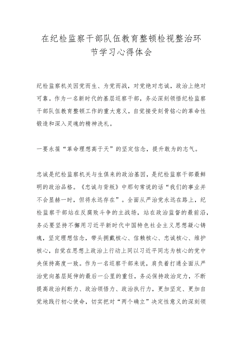 在纪检监察干部队伍教育整顿检视整治环节学习心得体会.docx_第1页