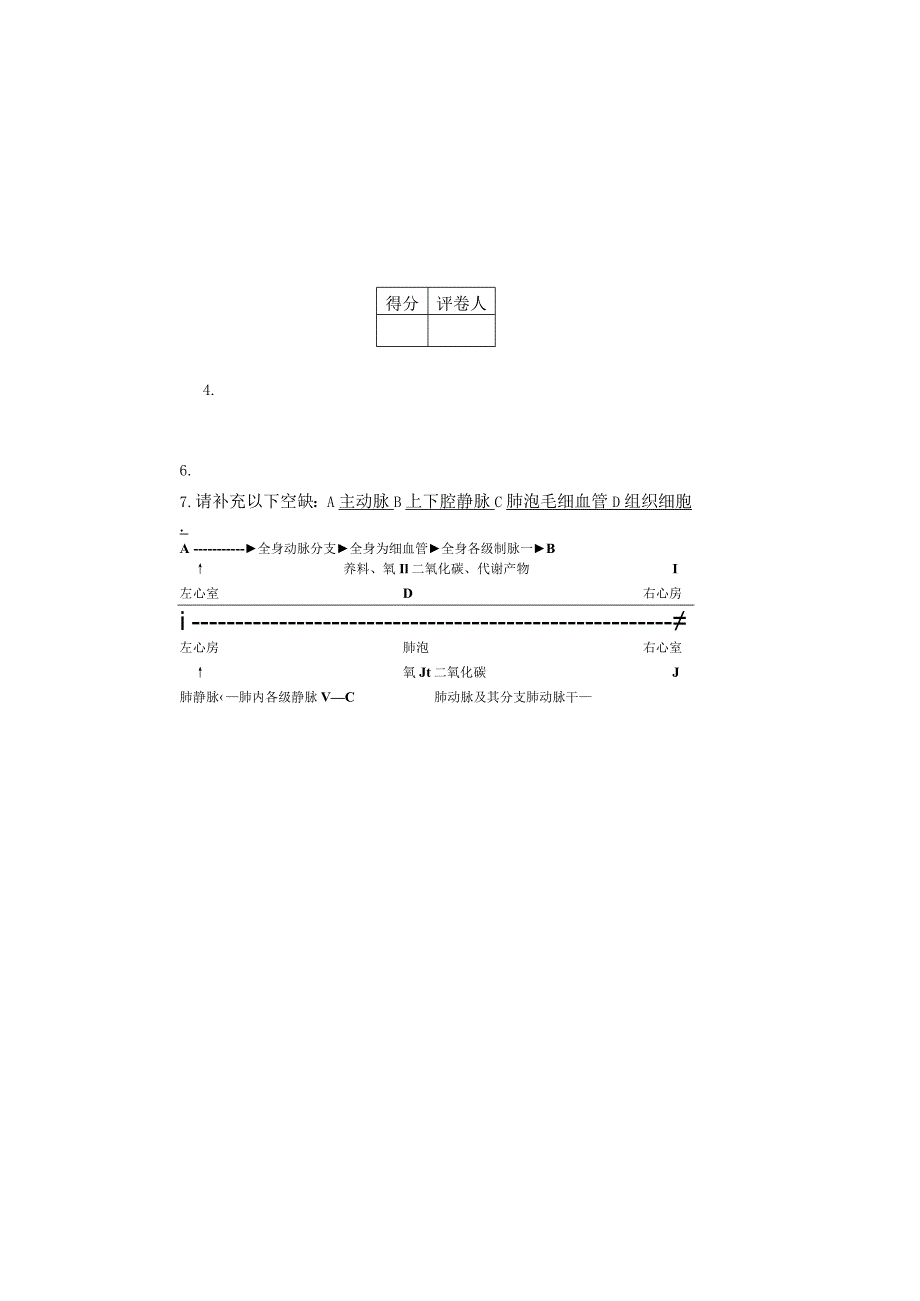 体育系体育教育本科专业人体解剖学考试试卷参考答案.docx_第1页