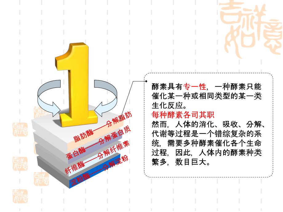 酵素演讲课件.ppt_第3页