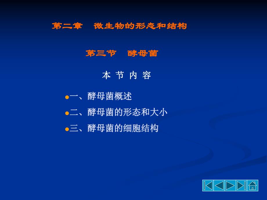 酵母菌的形态结构.ppt_第2页