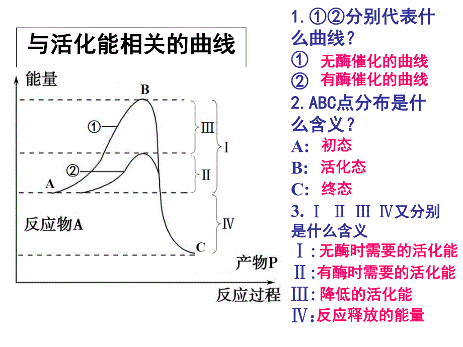 酶和ATP复习.ppt_第3页