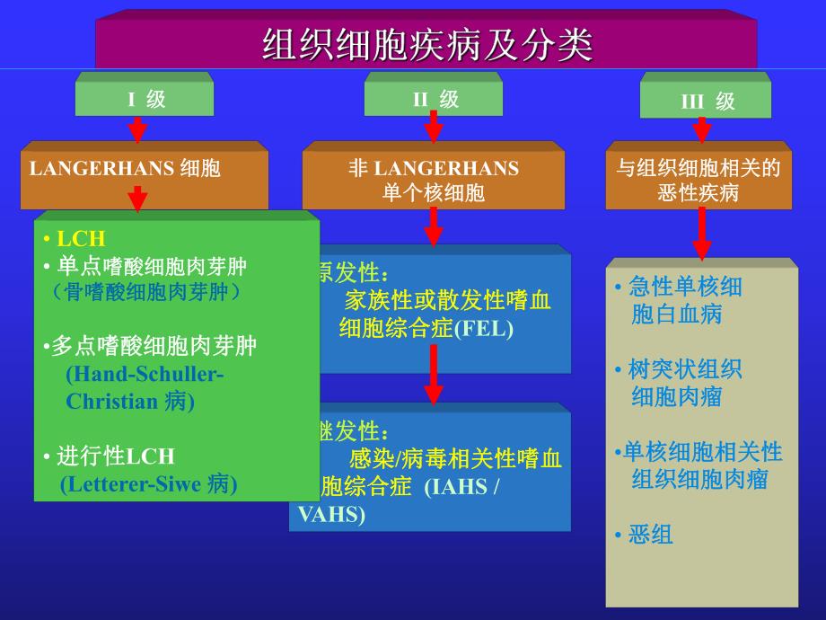 郎格罕细胞组织细胞增生症.ppt_第3页