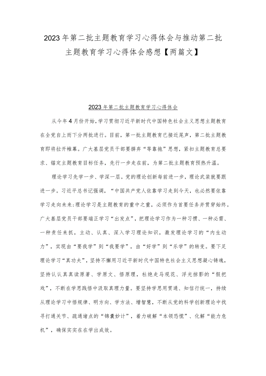 2023年第二批主题教育学习心得体会与推动第二批主题教育学习心得体会感想【两篇文】.docx_第1页