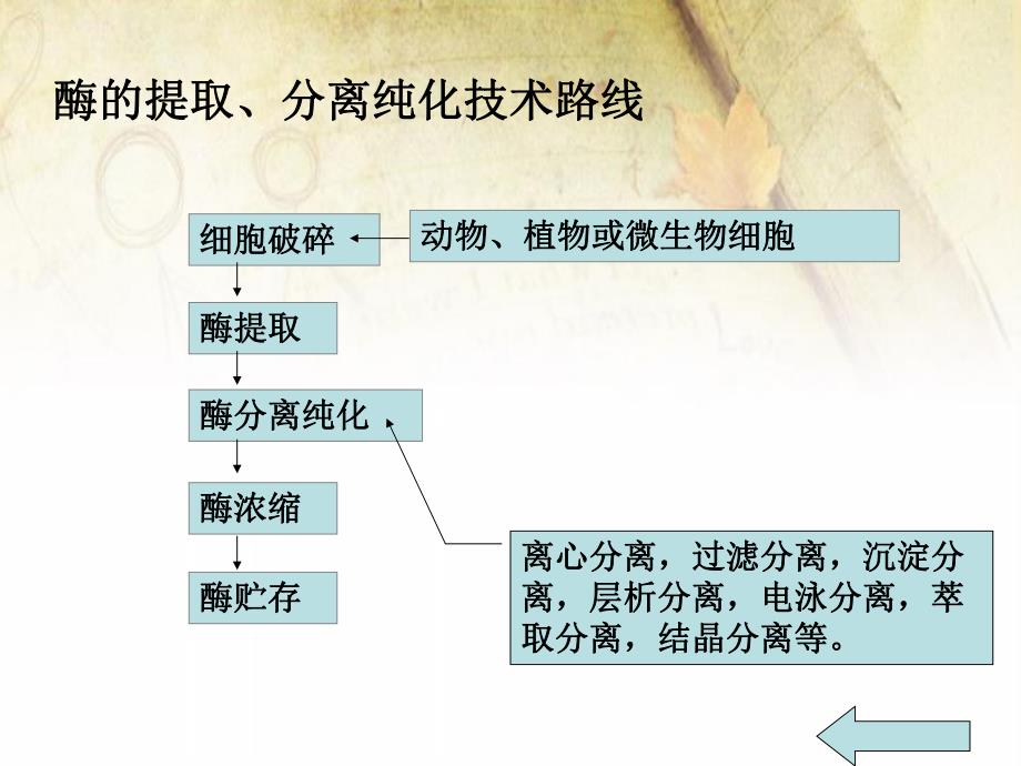 酶分离纯化过程中需要注意什么问题为什么进行酶活力酶比活力的测定.ppt_第3页