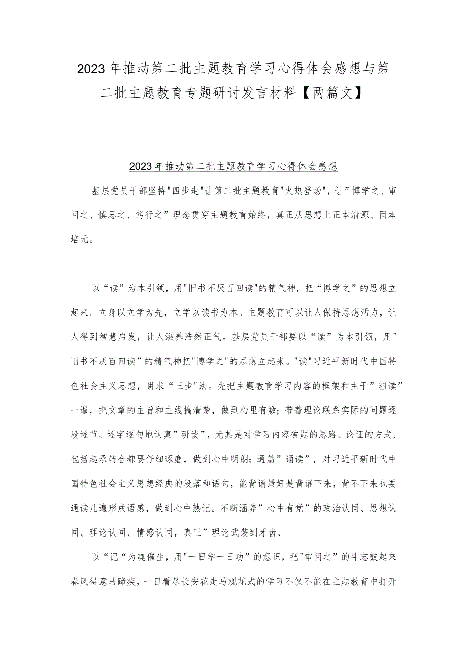 2023年推动第二批主题教育学习心得体会感想与第二批主题教育专题研讨发言材料【两篇文】.docx_第1页