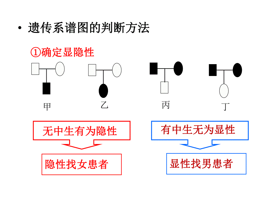 遗传系谱图的分析复习.ppt_第3页