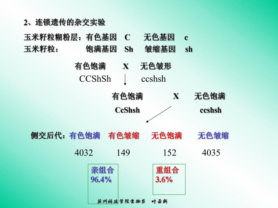 遗传第四章连锁遗传.ppt_第2页