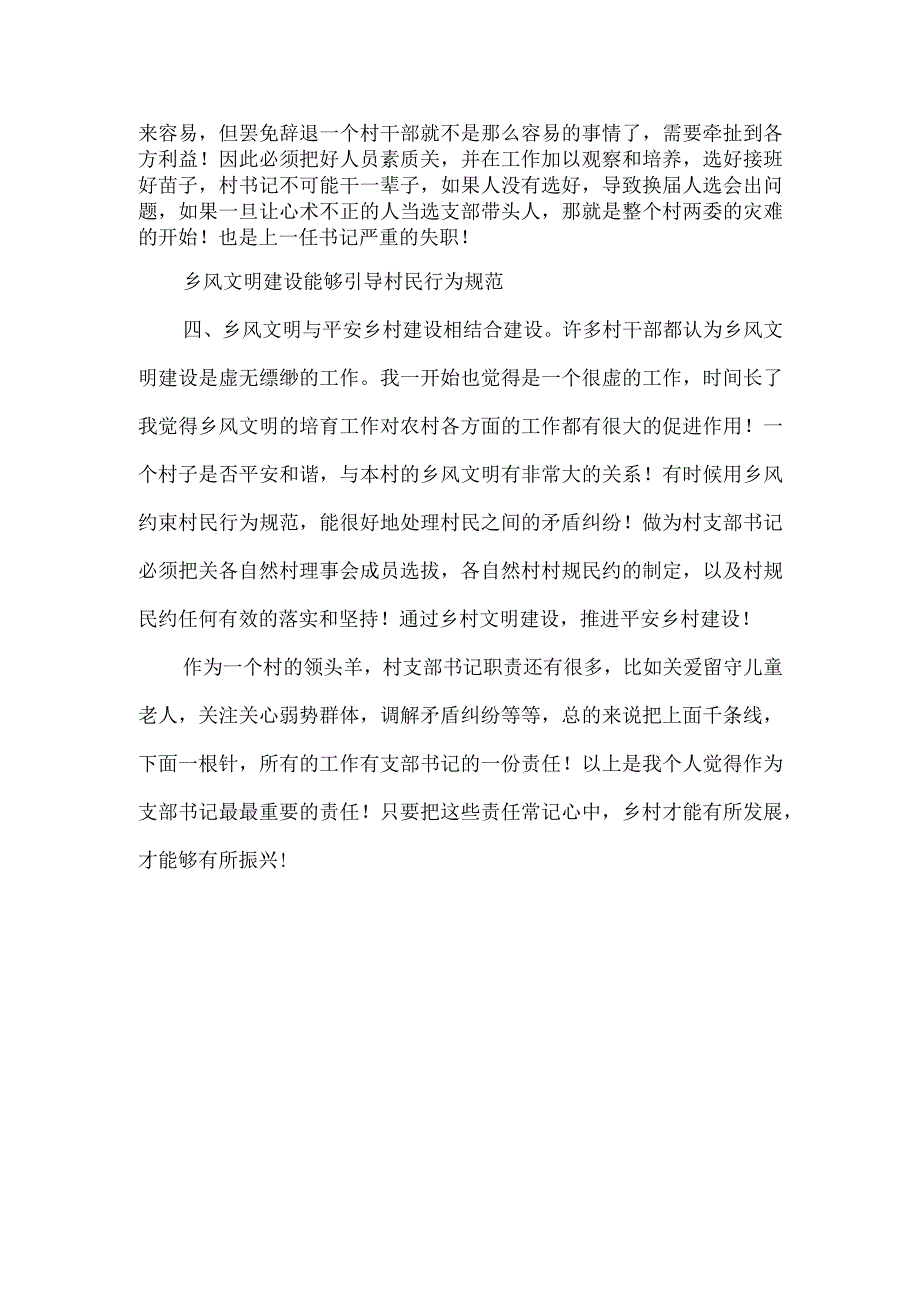 XXXX村党支部书记的主职主责.docx_第2页