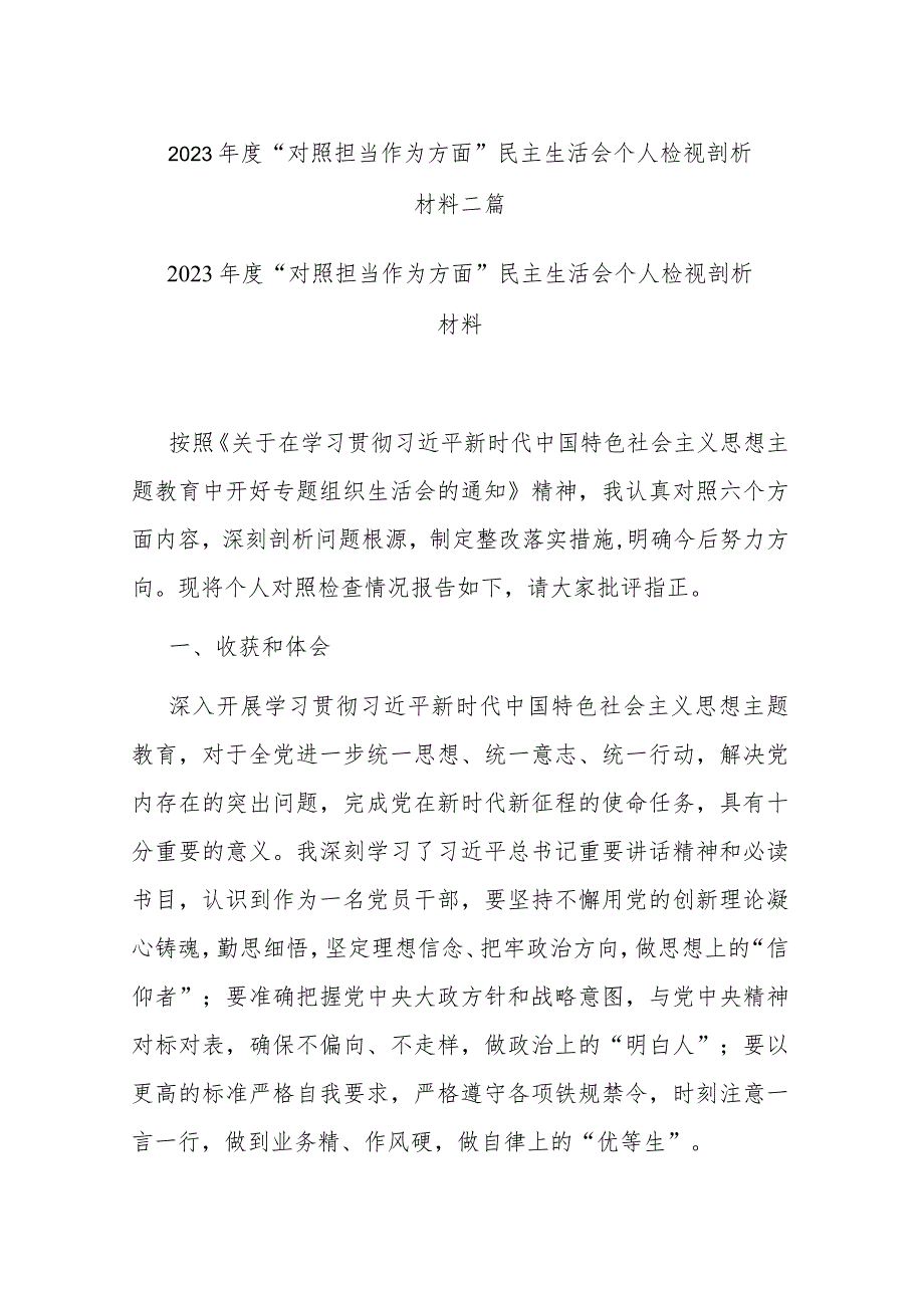 2023年度“对照担当作为方面”民主生活会个人检视剖析材料二篇.docx_第1页