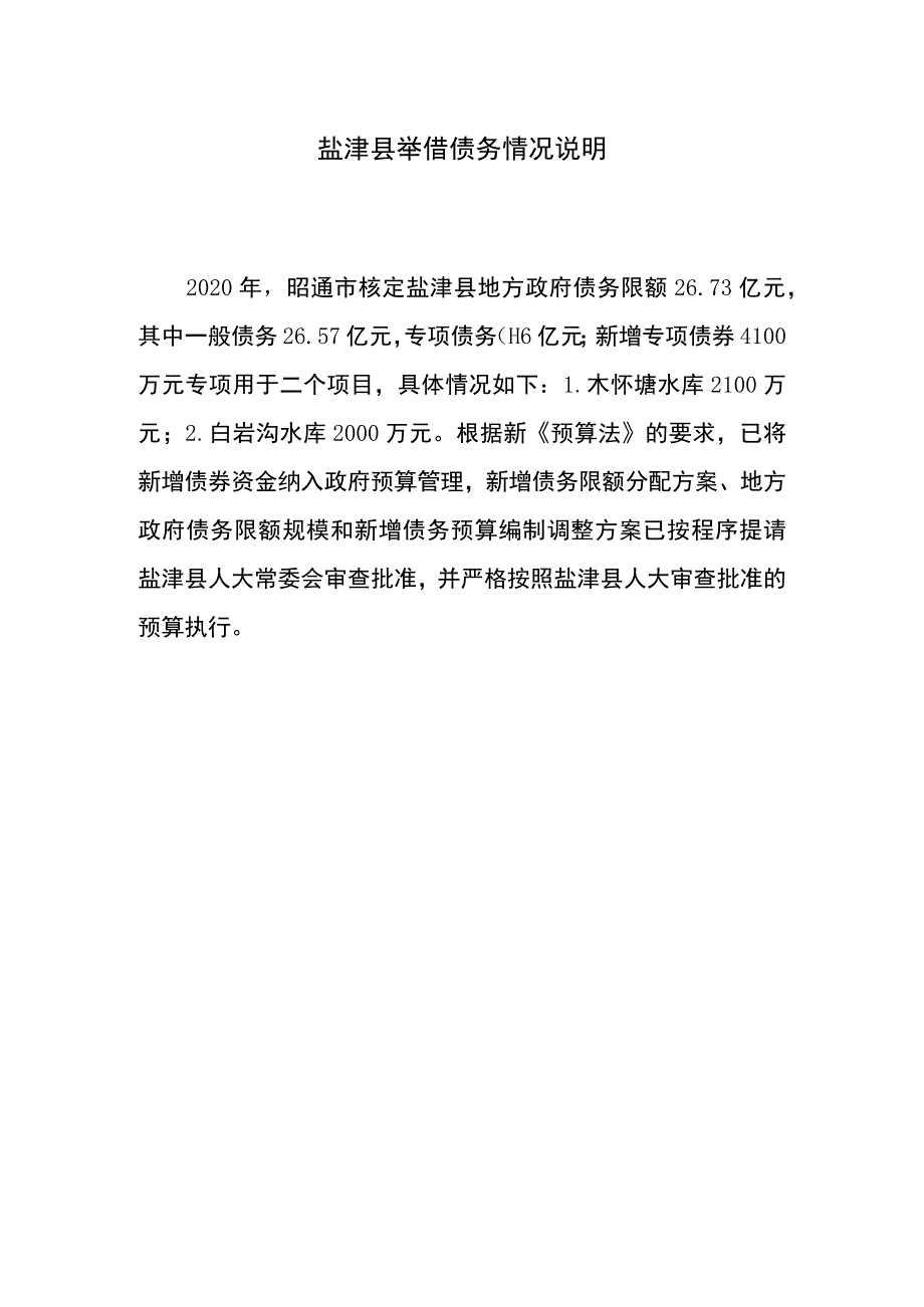 盐津县举借债务情况说明.docx_第1页