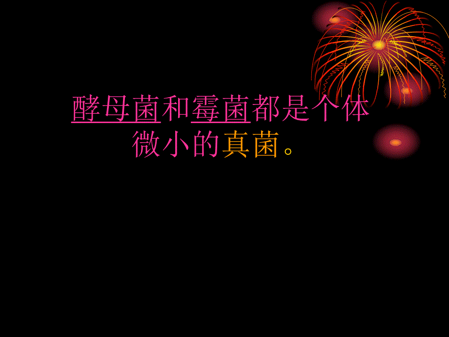 酵母菌和霉菌.ppt_第2页