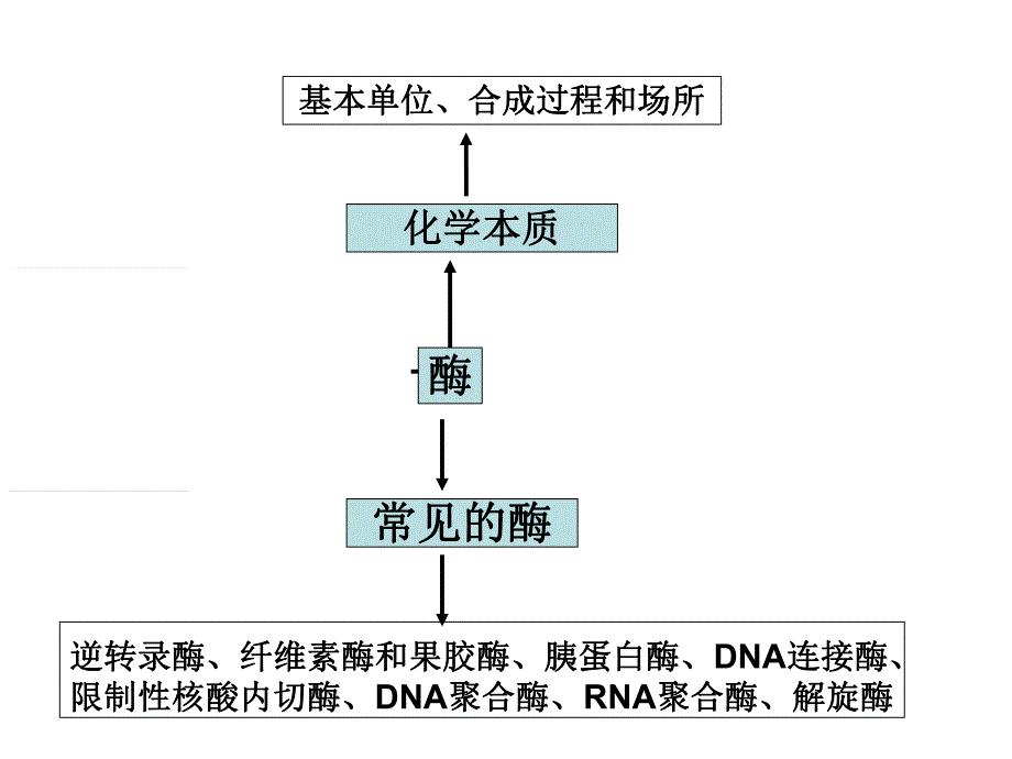 酶的基础知识和曲线.ppt_第3页