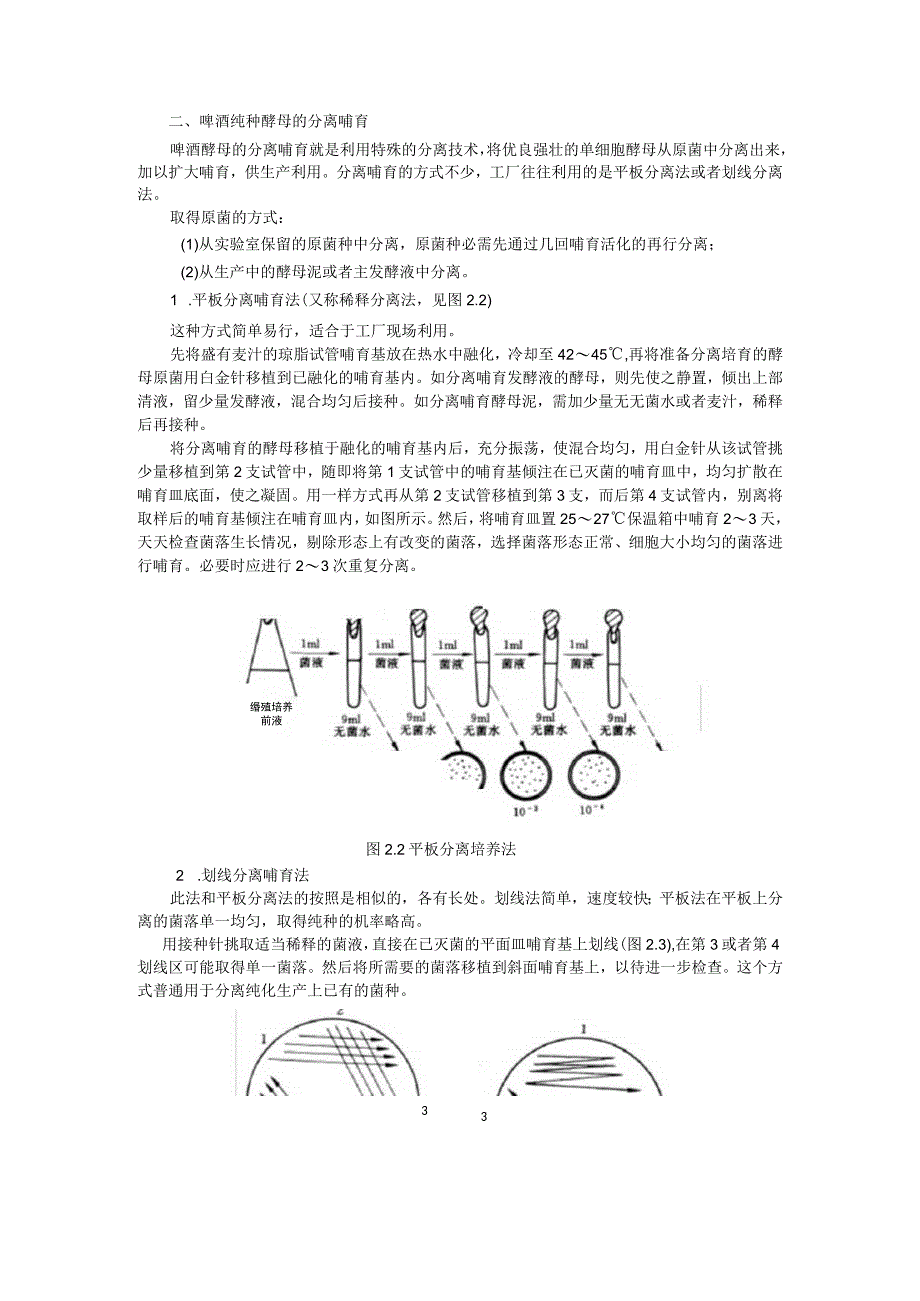 啤酒发酵酵母扩培学习资料.docx_第2页