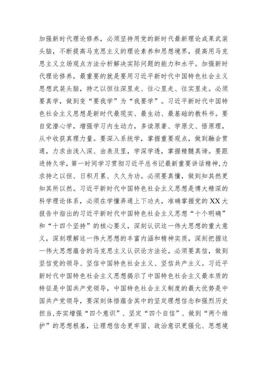 在学习贯彻2023年主题教育专题党课上的讲话提纲.docx_第3页