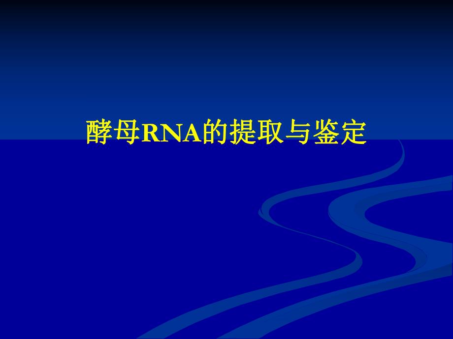 酵母RNA的提取与鉴定.ppt_第1页