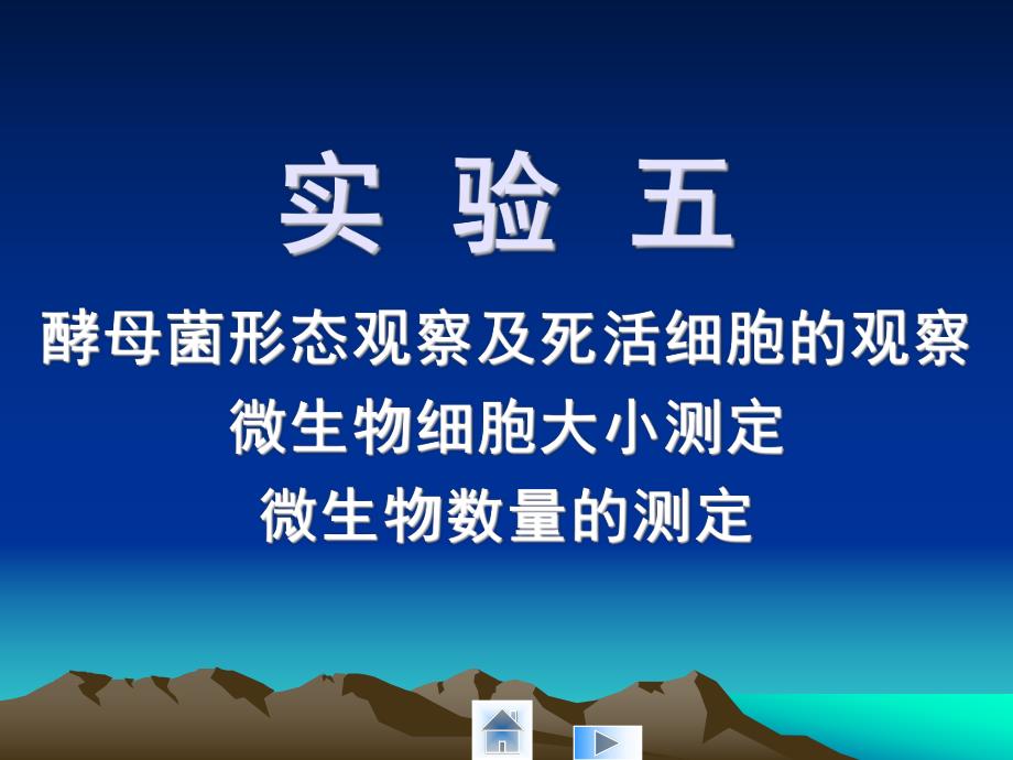 酵母菌形态观察及死活细胞的观察.ppt_第1页