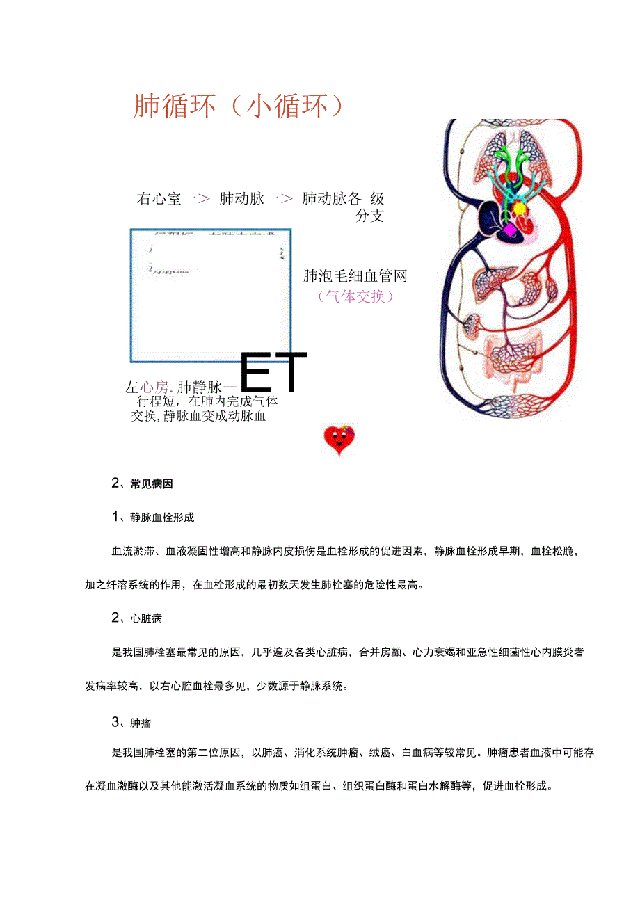 急性肺栓塞的处理及应急预案.docx_第2页