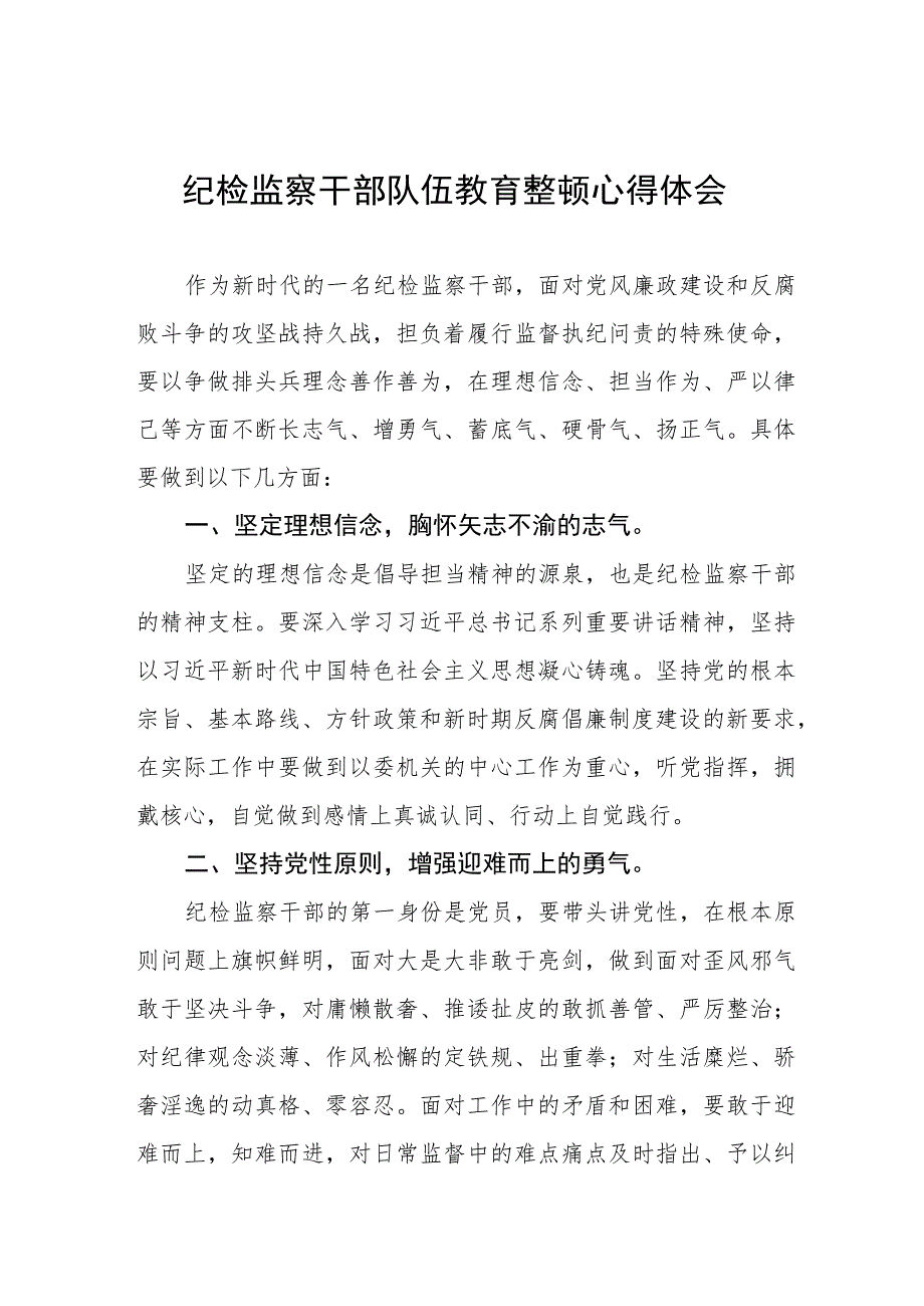 《2023年纪检监察干部队伍教育整顿》心得体会发言材料合集(九篇).docx_第1页