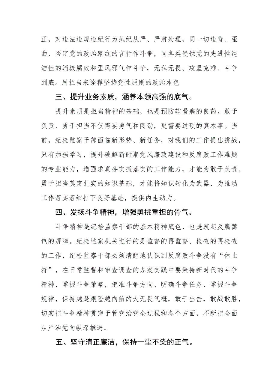 《2023年纪检监察干部队伍教育整顿》心得体会发言材料合集(九篇).docx_第2页