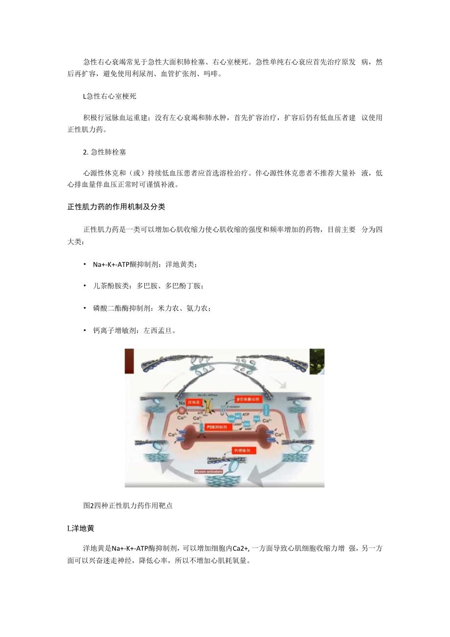 专业解读-急性心衰时正性肌力药的正确应用.docx_第2页